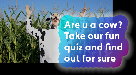 Take the are you a cow quiz